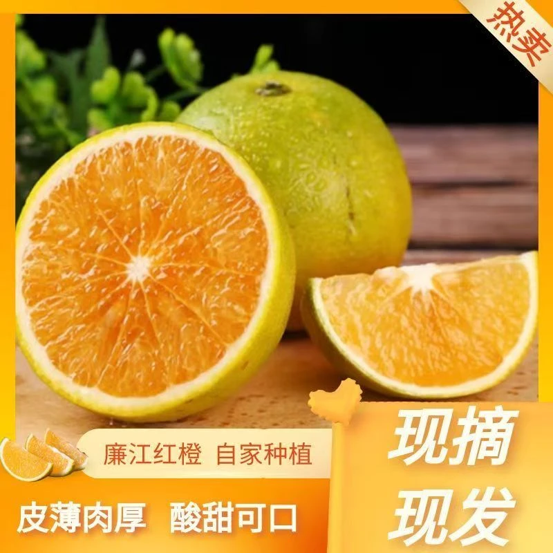 廉江红橙新鲜现摘直发红江农场产区皮薄多汁橙味浓郁京东包邮（精品中果）广东省
