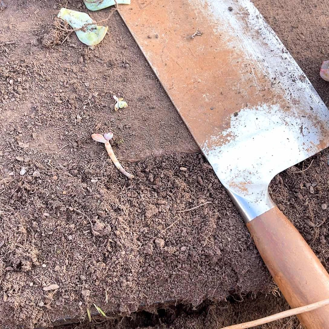 滋***味10级福利无砍不售后