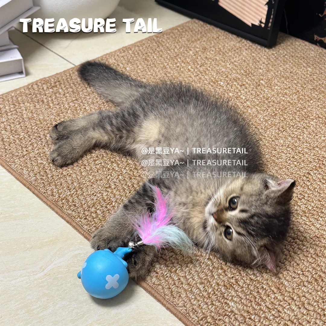 TreasureTail 电动逗猫球猫咪玩具逗猫棒自嗨解闷电动益智猫玩具