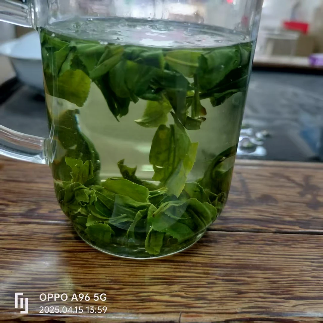 麻埠镇六安瓜片口粮茶回甘甜栗香