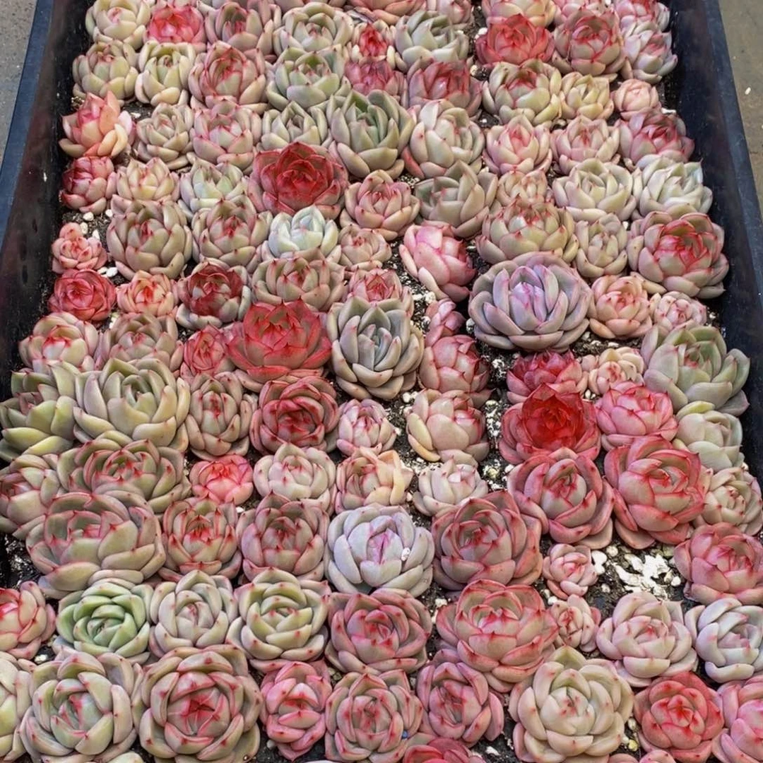 用****7734多人在一起的时候我