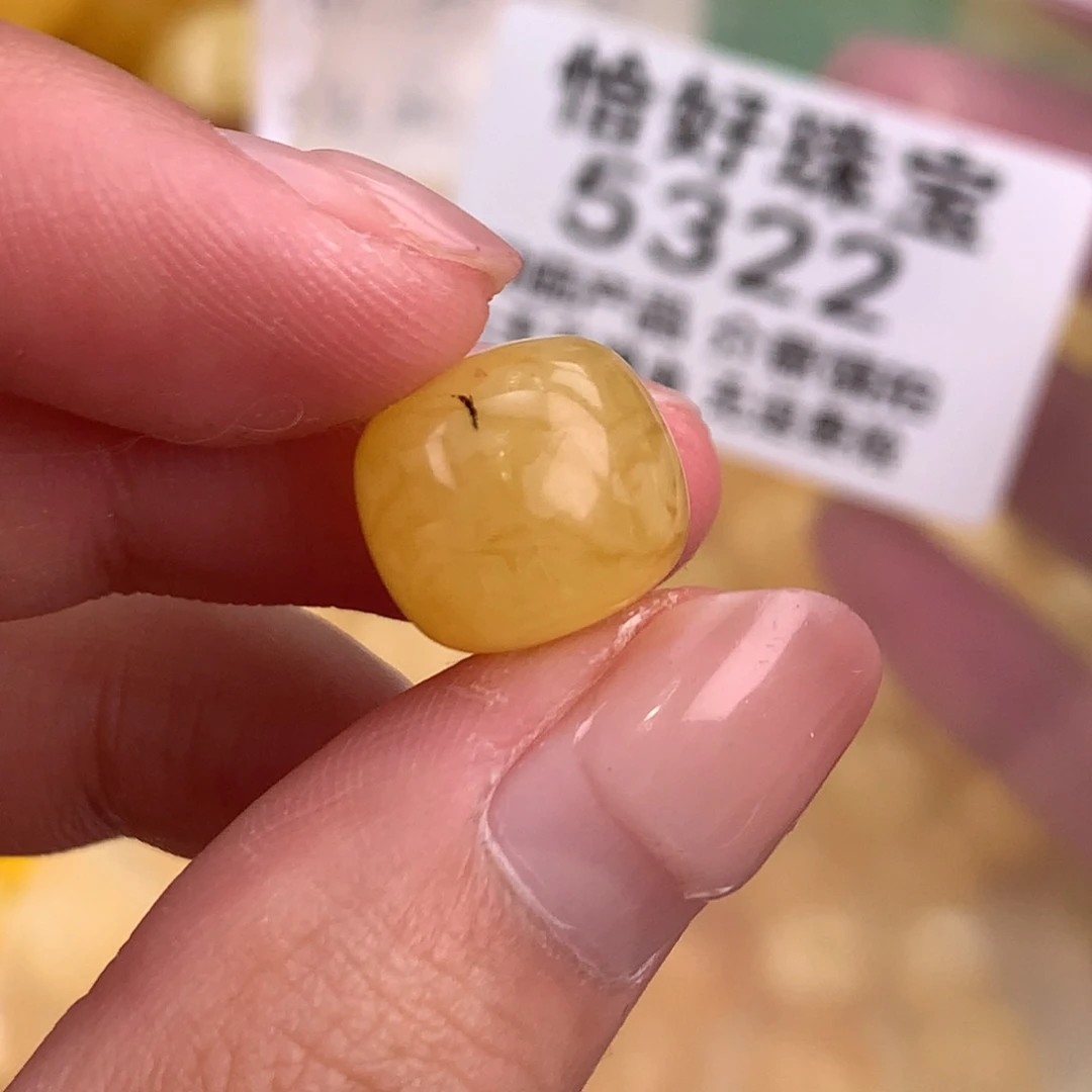 琥珀未镶嵌珠宝奇石12.5植物