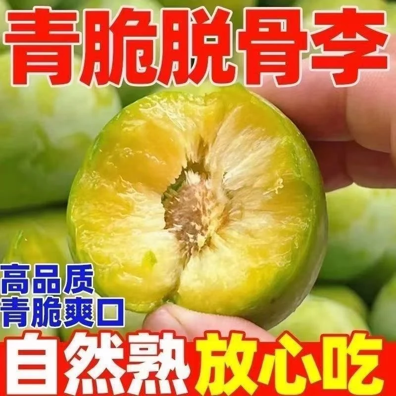 【顺丰发货】精选脱骨李清脆李现摘现发酸甜可口应季水果