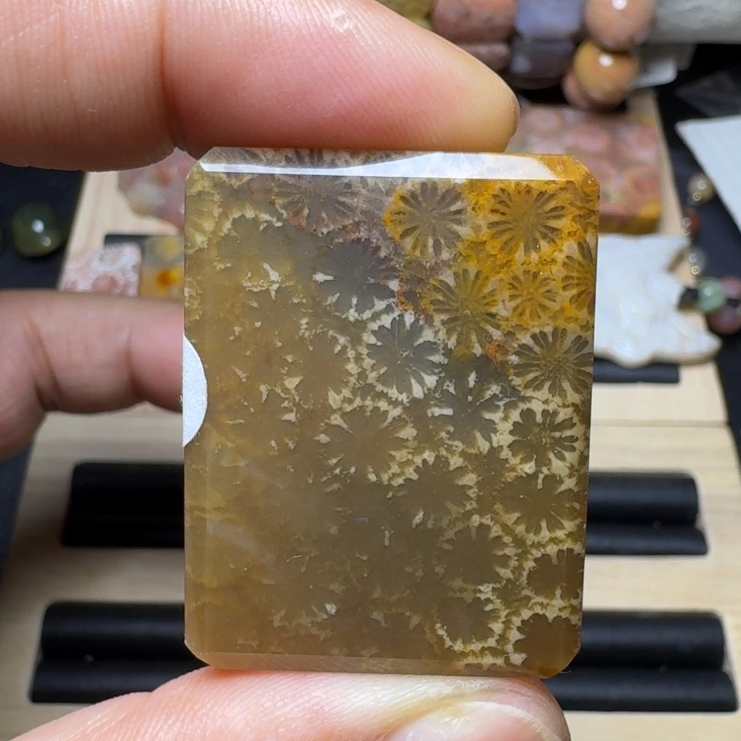 硅化玉未镶嵌纯天然色有机玉石保真色