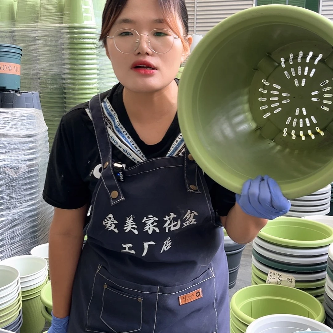 四季盆7#果绿色6个无托