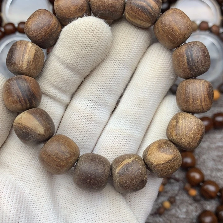 贡木巴布亚15/16咖月……