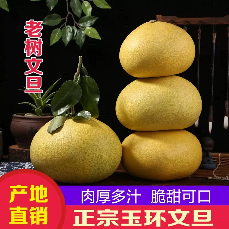 【小林严选】福建度尾正宗文旦柚老树新鲜采摘清甜多汁水果【有孔果】