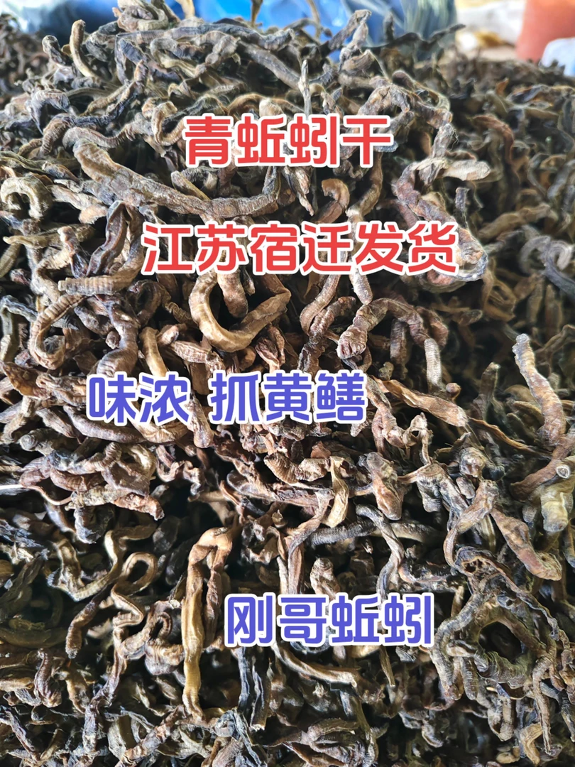 精品青蚯蚓干地龙干鳝鱼黄鳝饵料直接晒干蚯蚓无盐户外强效隔夜窝