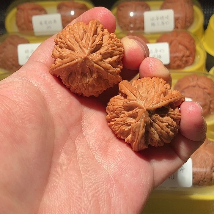 39全品御龙粗筋正球奔精品对