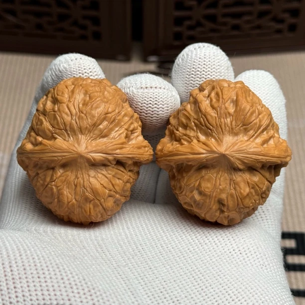 精选老树南瓜墩，边41肚44高31，老树凹底南瓜墩，精卡精配一物一图