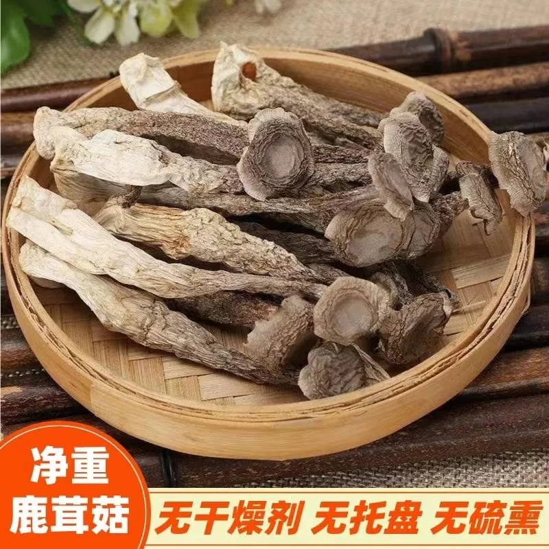 精选鹿茸菇无硫无熏干货煲汤炒肉鲜美营养视频XX企业家