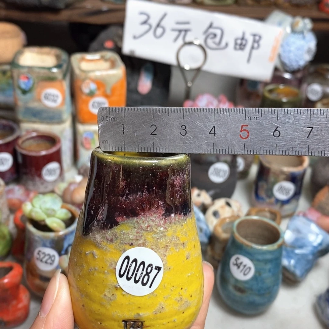 花盆拍5送一个小礼物