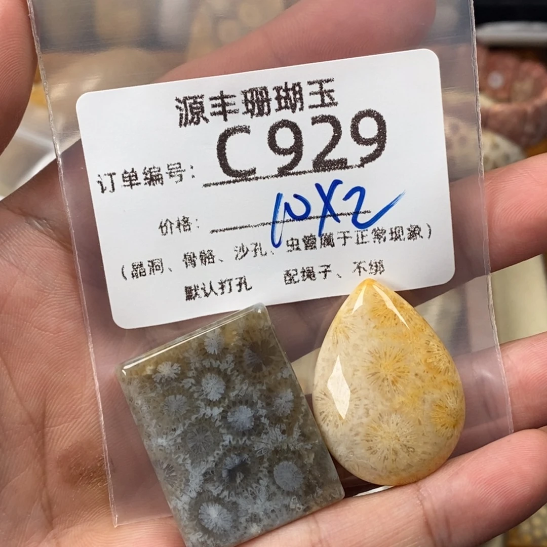 捡****硅化玉未镶嵌颈饰