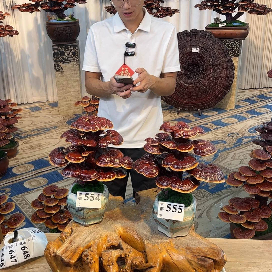 全部花朵888888888888