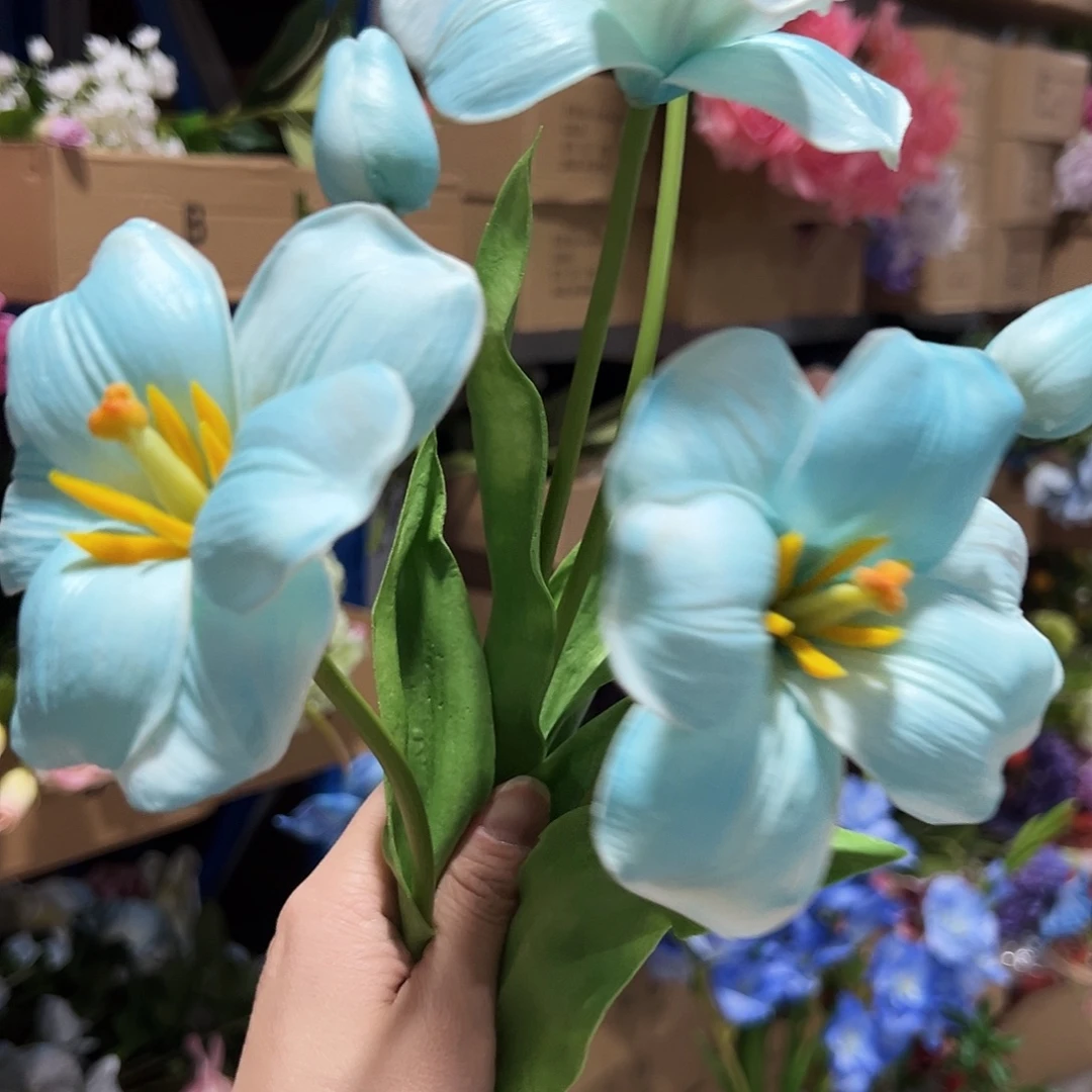 3枝混色2头布朗尼。