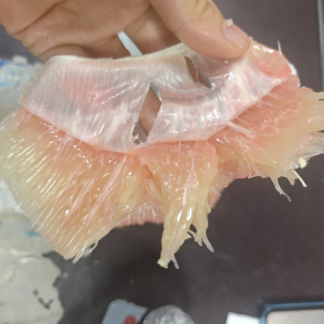 【红心柚】农家自种新鲜当季现摘红心柚子清脆多汁孕妈小孩喜爱多