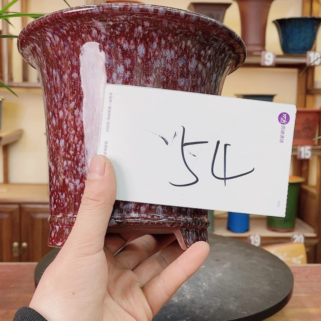 【闪购商品】紫砂花盆江****哥兰花856555555588665585