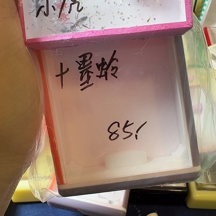小***虎蟋蟀哈哈哈哈哈哈哈哈哈哈哈