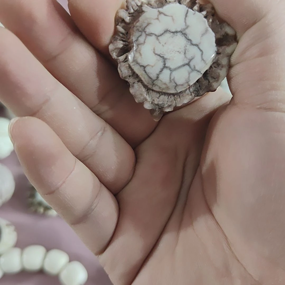茶***寻非金属鹿角精品小角