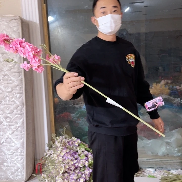 三叉飞燕草粉色10支装