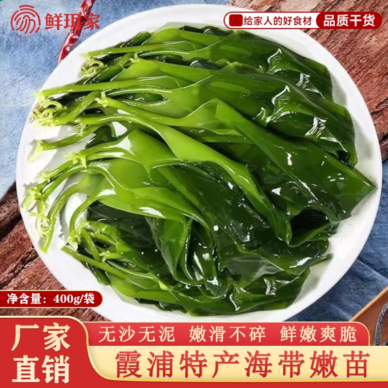 鲜珥家海带嫩苗400g霞浦特产裙带菜凉拌配菜好搭档