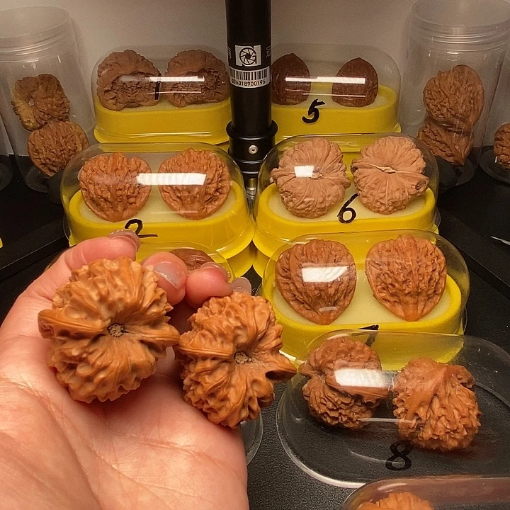 38高尖凹底龙门涧