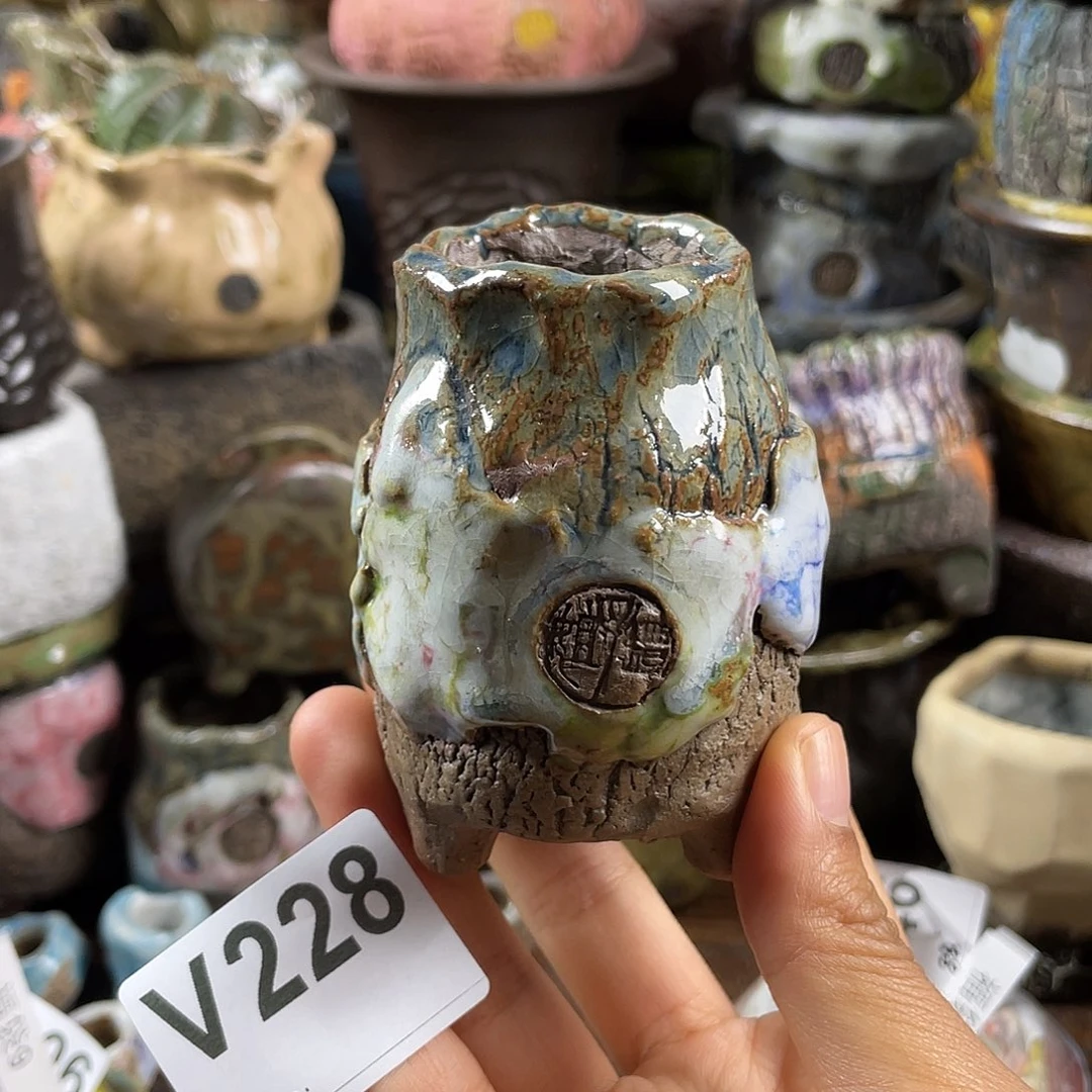 默认微次  限时福利 坛子姐花盆