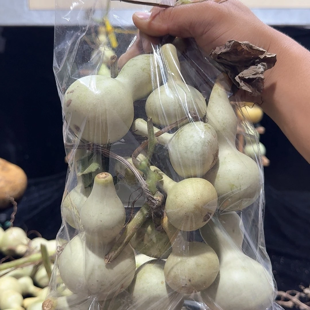 何***定向定向定向定向