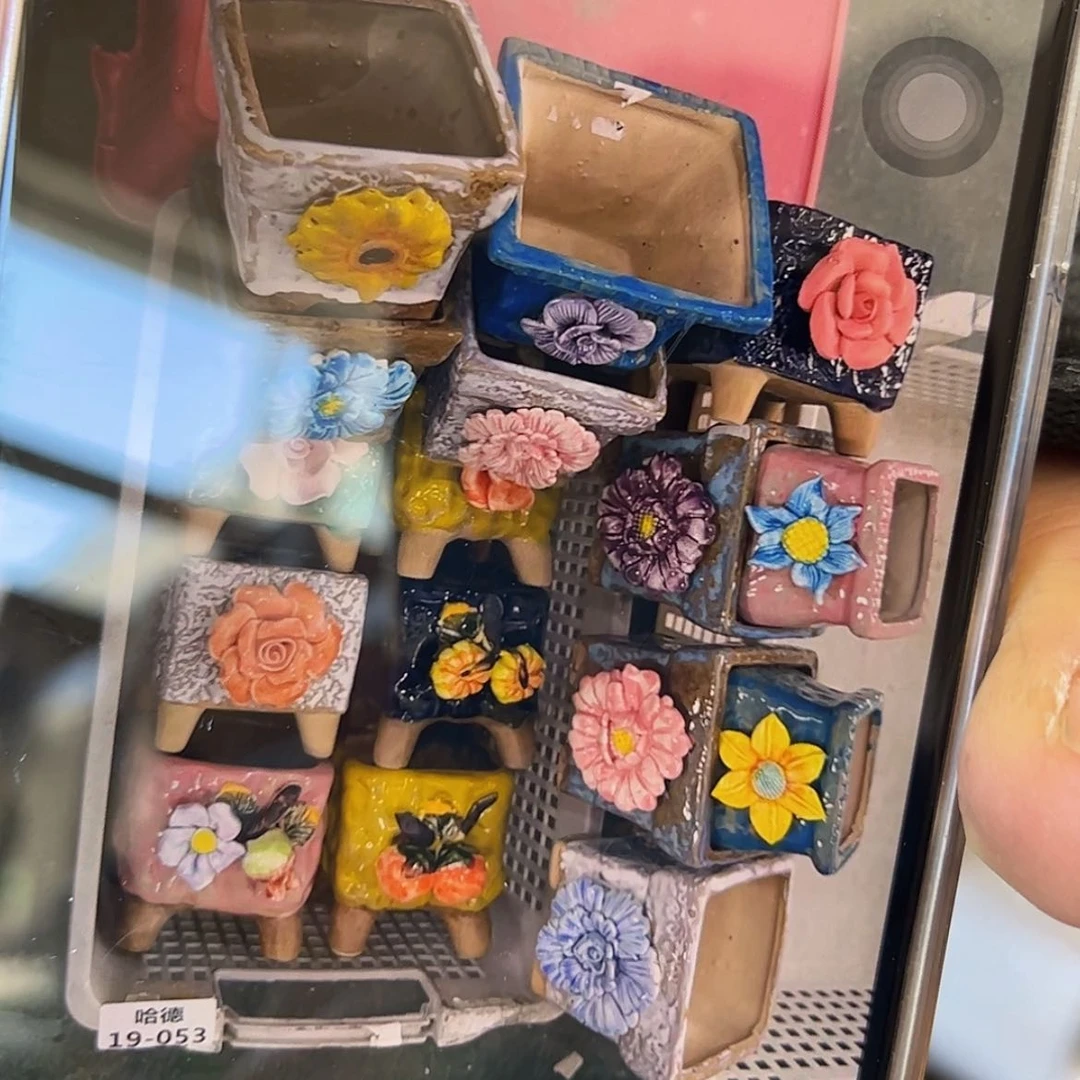 【闪购商品】红陶1953