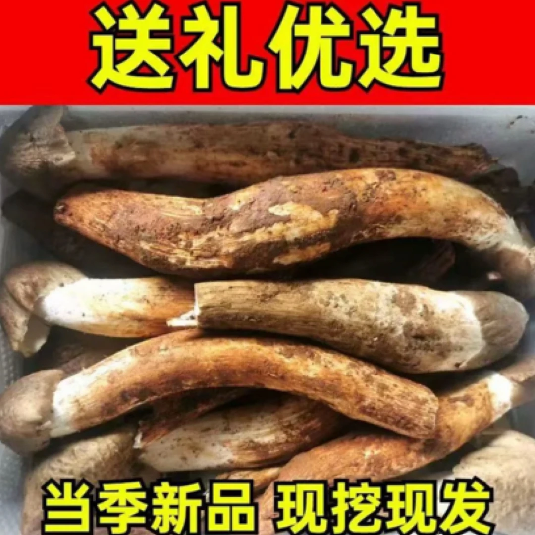 新鲜现挖鸡纵菌搭配山药美味又营养