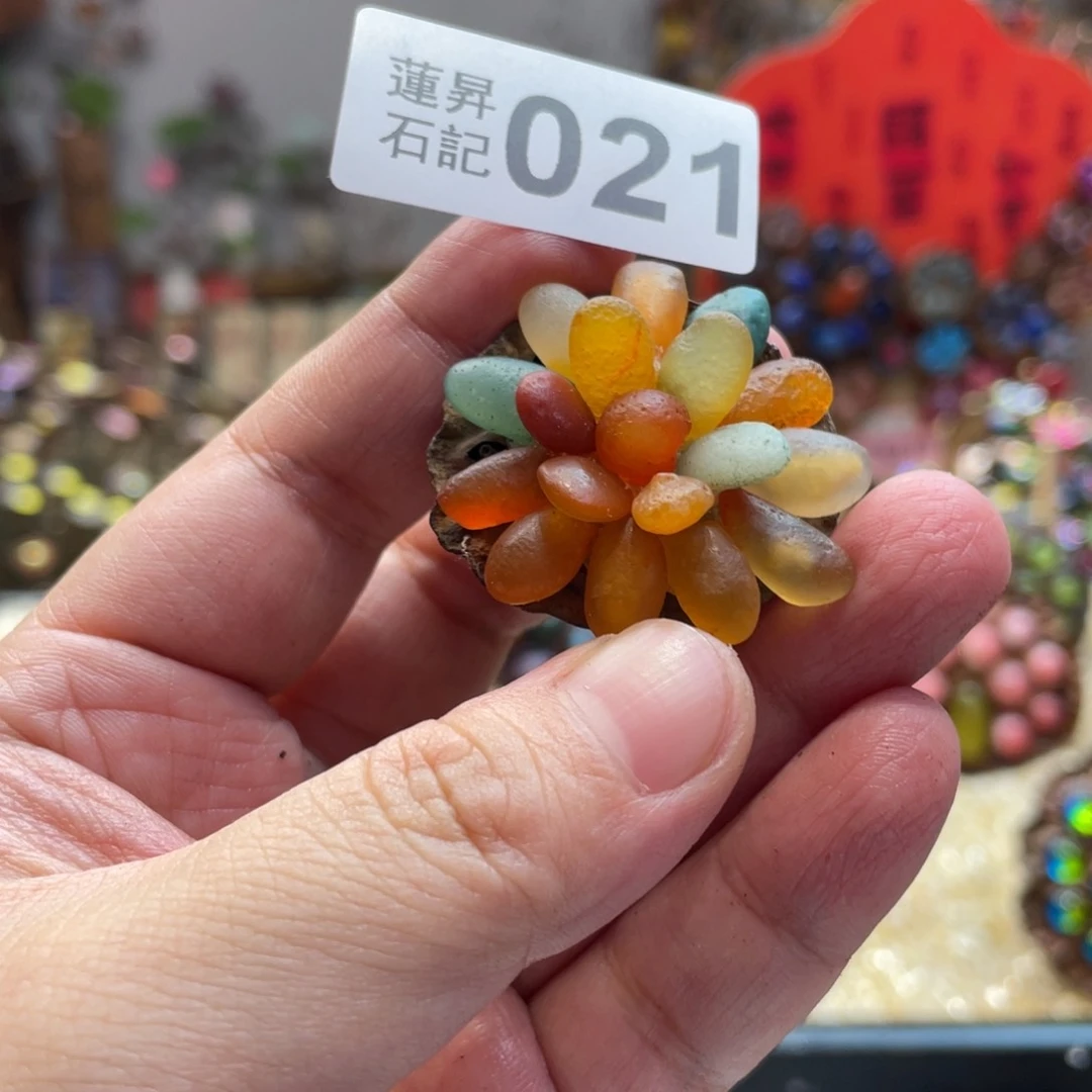 核桃木/黑胡桃（胡桃木）021