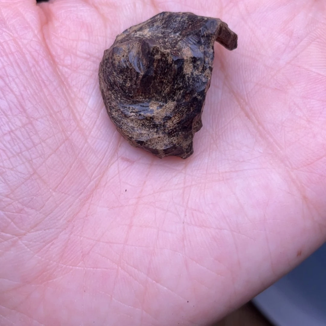 【闪购商品】香榧木越南沉水老包头2.2克