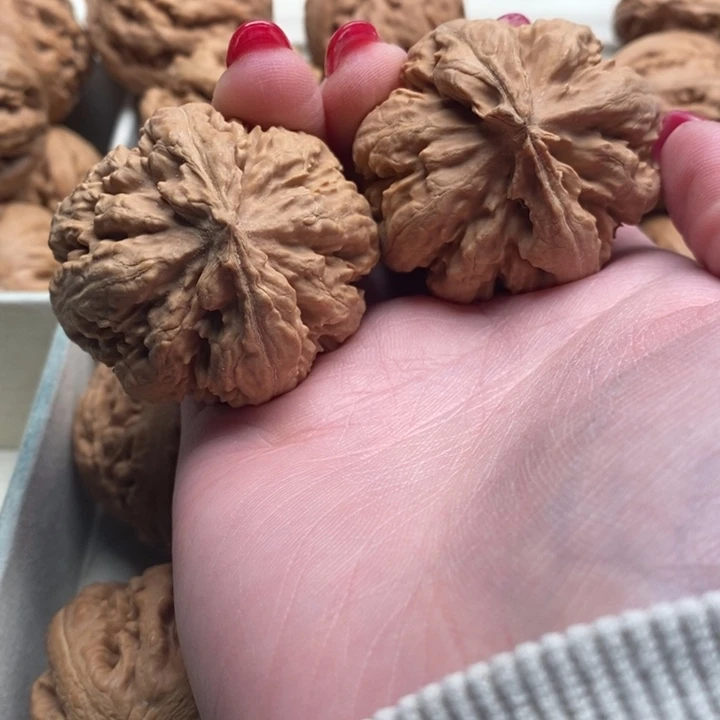 踏***云霸王龙全品无修一刀没动