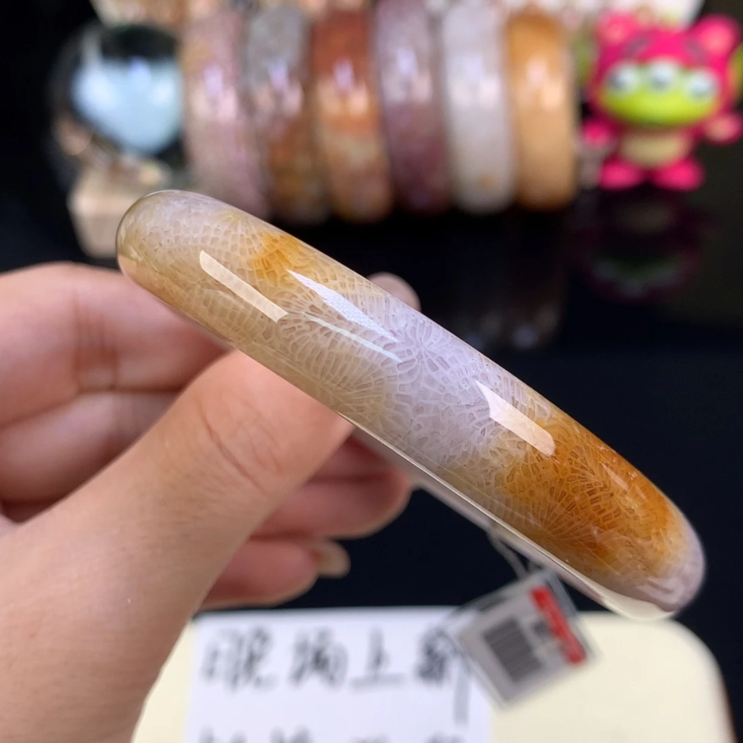 【闪购商品】颈饰未镶嵌硅化珊瑚（珊瑚玉）福利手镯53.6（50号）
