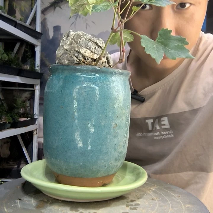 随*中青园艺一物一拍100