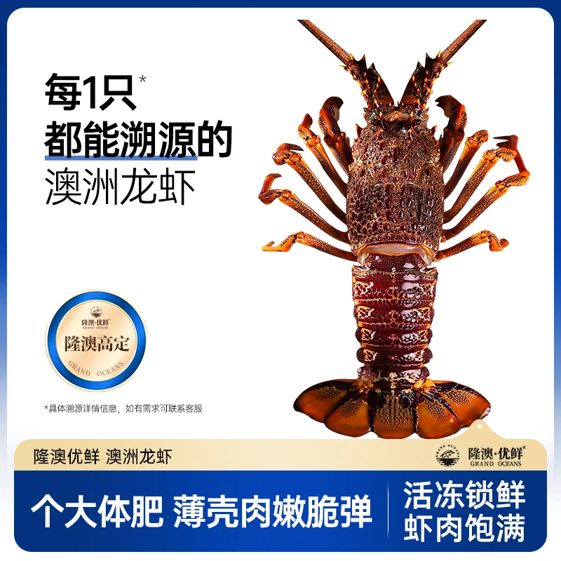 【真正的澳龙】隆澳 海捕澳洲龙虾 背部带膏