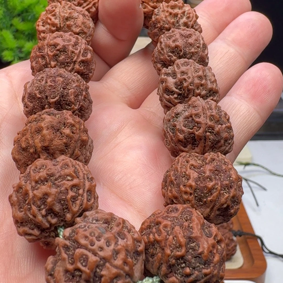 金刚菩提手串蜂窝双龙