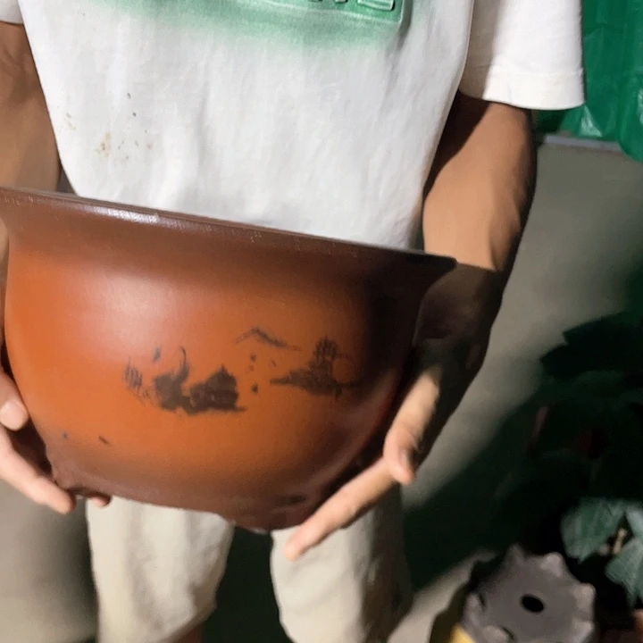 30紫气东来花盆花盆花盆
