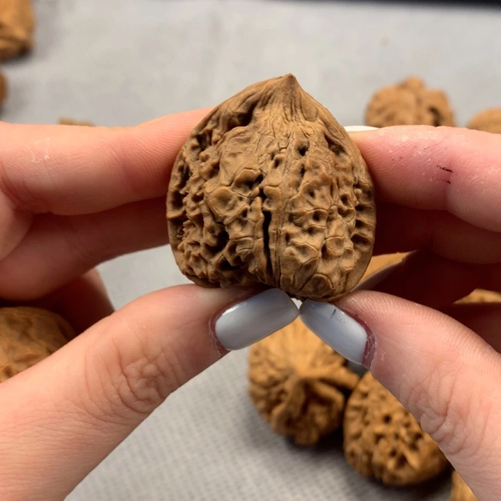 兵***乐文玩核桃吊坠异形单只