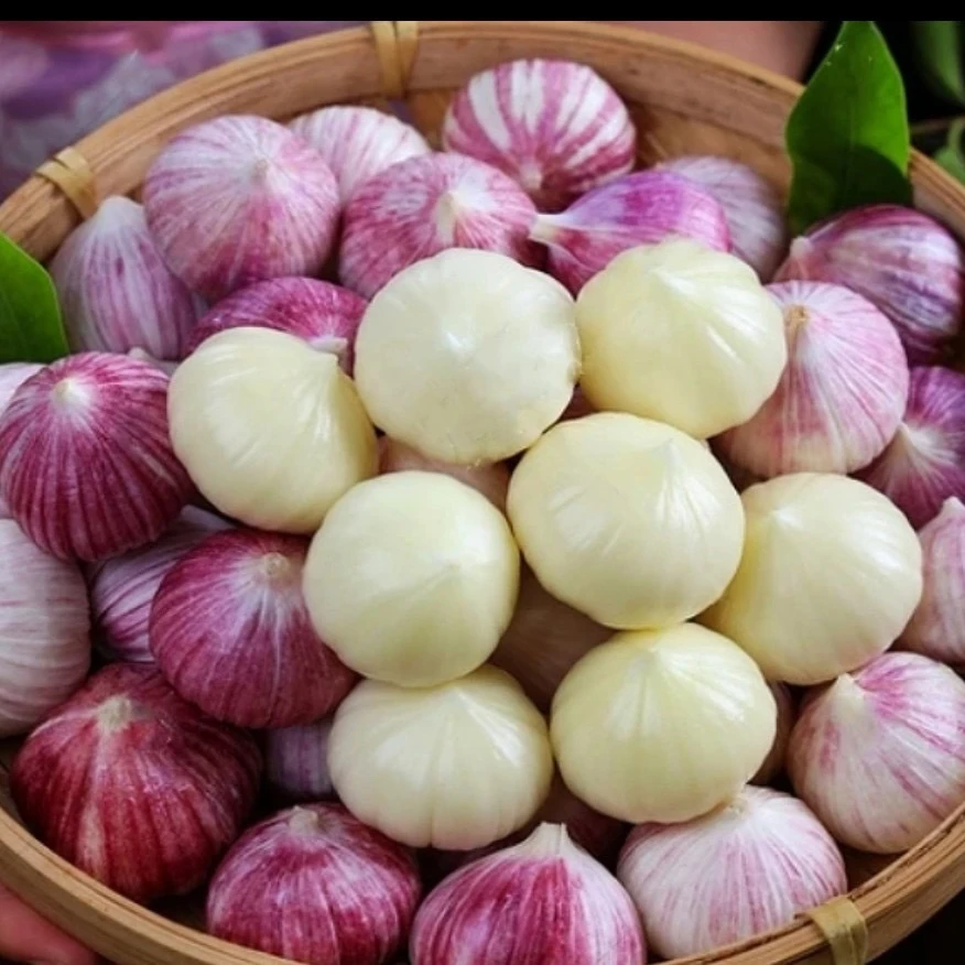 云南紫皮独头大蒜头香辣饱满农产品特产