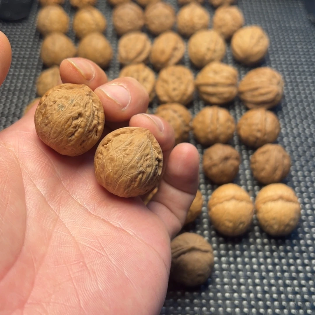 文玩核桃把件一道筋