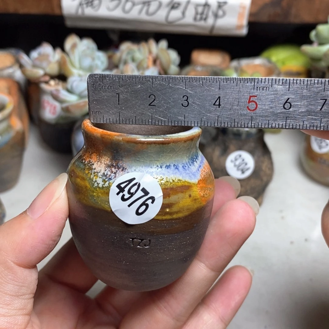 拍5送一个小礼物