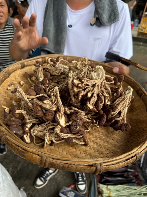 正宗农家无硫茶树菇
