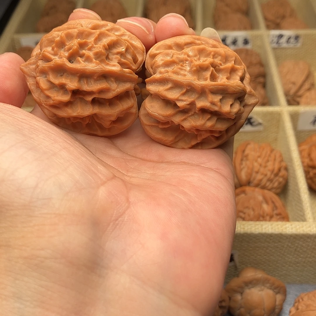 把件文玩核桃曹大龙41（头货精品