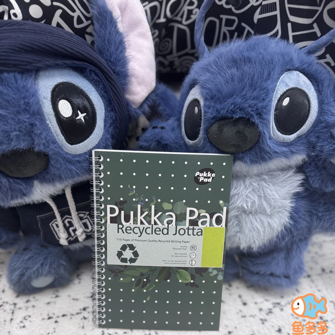 PukkaPad再生A4环保欧式森系学习笔记考公考研复习学习必备用品