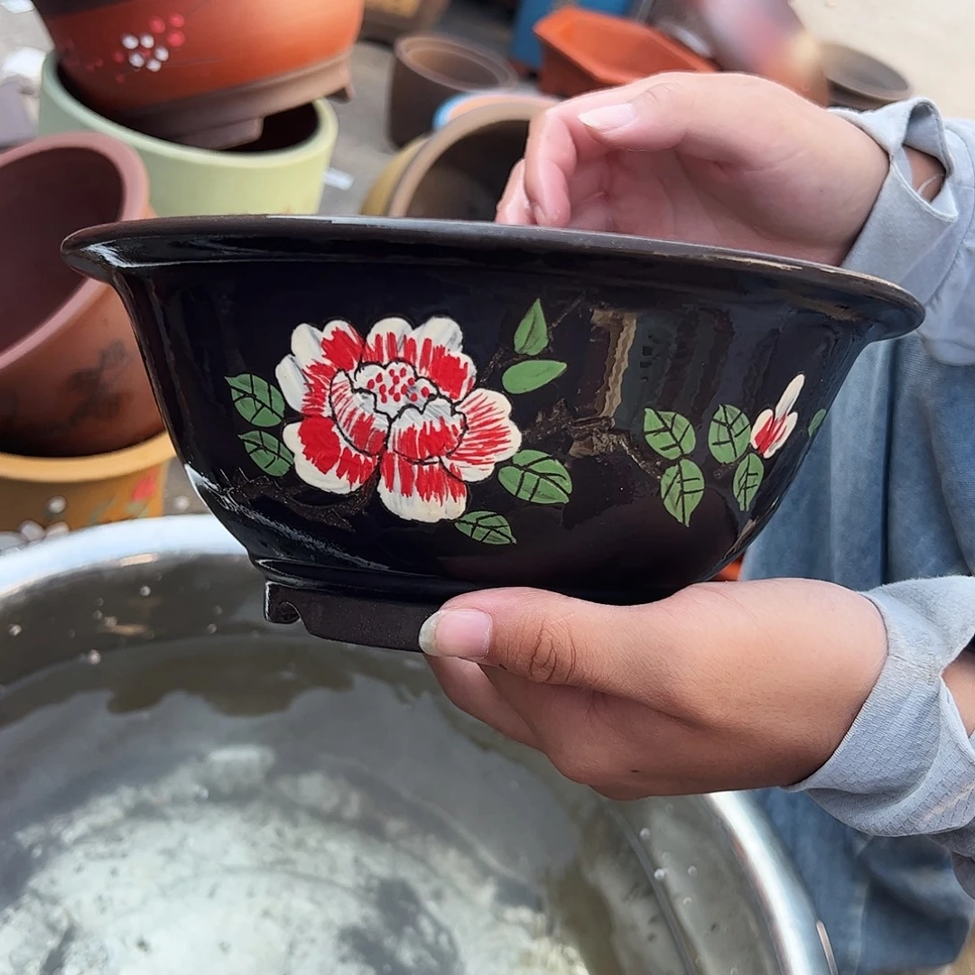 花盆花盆花盆花盆花盆花盆
