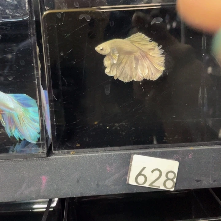 海水哈哈哈哈哈哈哈