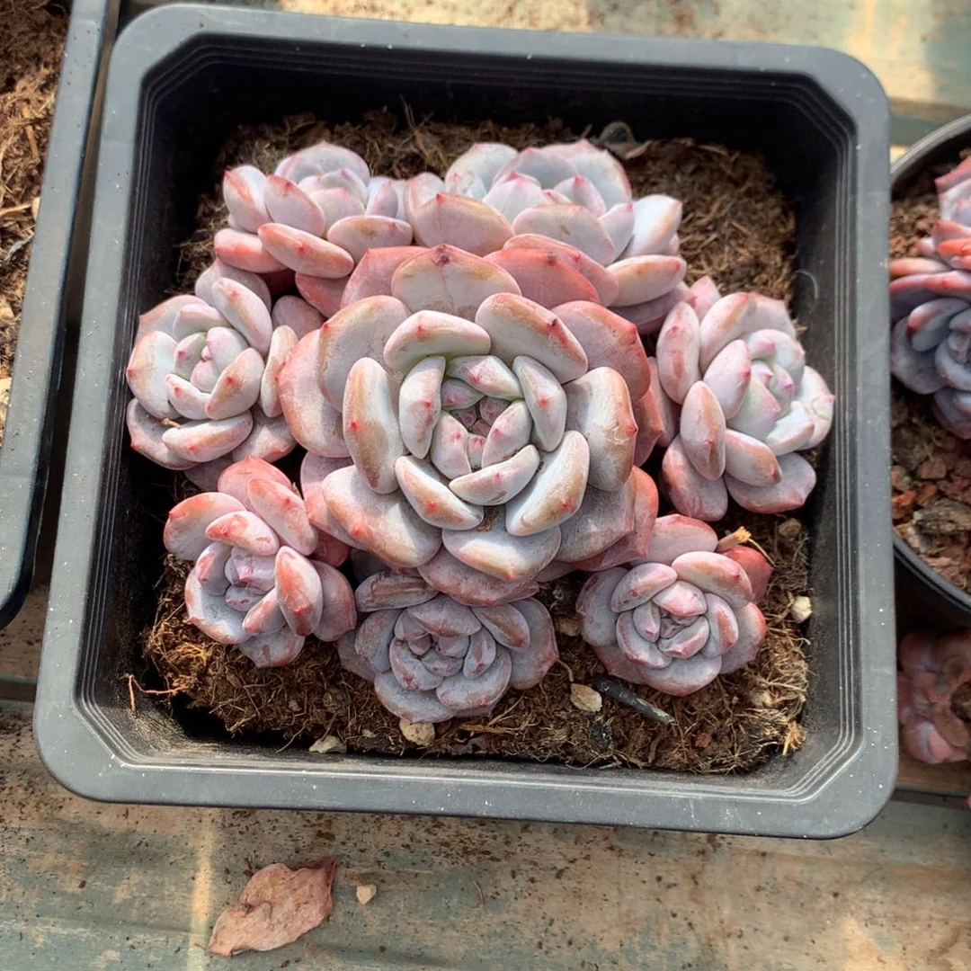 哈哈哈哈哈哈哈36