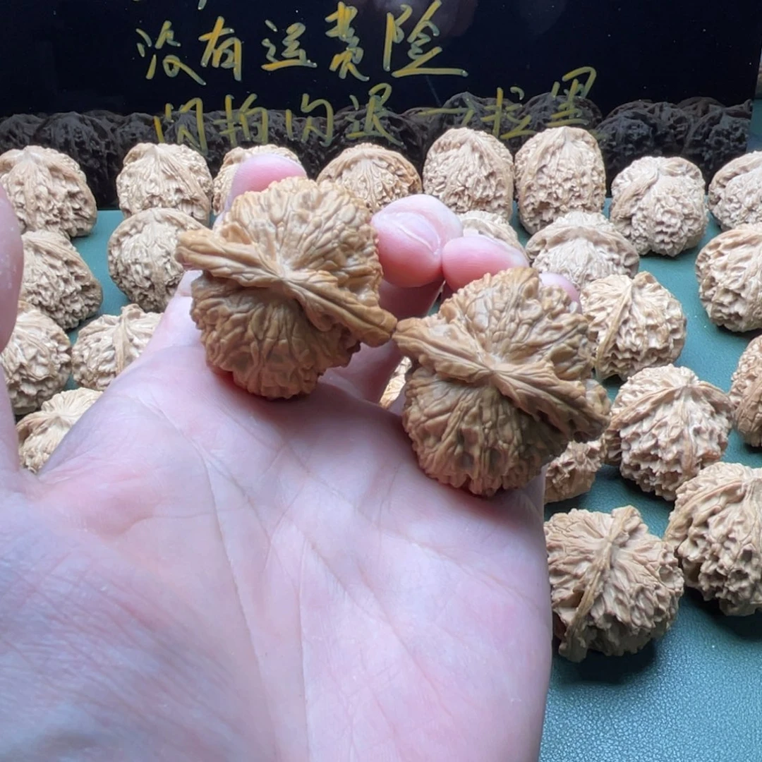 核桃把件子*.40球白狮子，已经打底