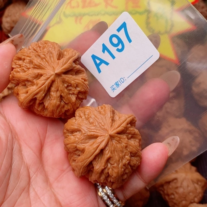 粗筋43尺197号123